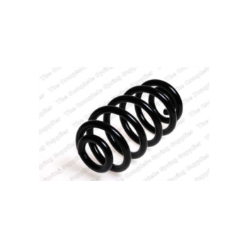 Neox SP9062 - Coil Spring (Rear)