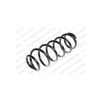 Neox SP8450 - Coil Spring (Rear)