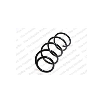 Neox SH6010 - Coil Spring (Front)