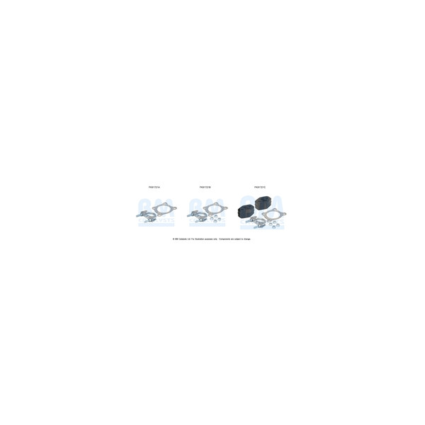 BM Catalysts FK91721 - Fitting Kit-Catalyst