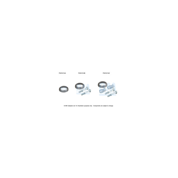 BM Catalysts FK91214 - Fitting Kit-Catalyst