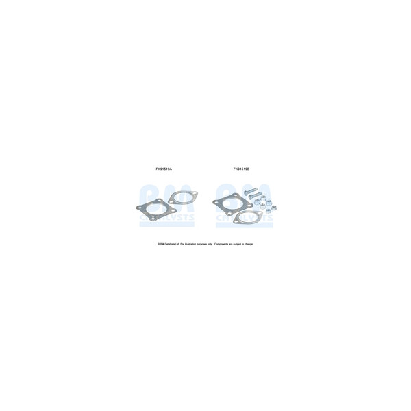 BM Catalysts FK91519 - Fitting Kit-Catalyst (Front)