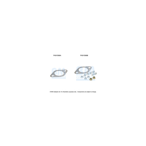 BM Catalysts FK91568 - Fitting Kit-Catalyst