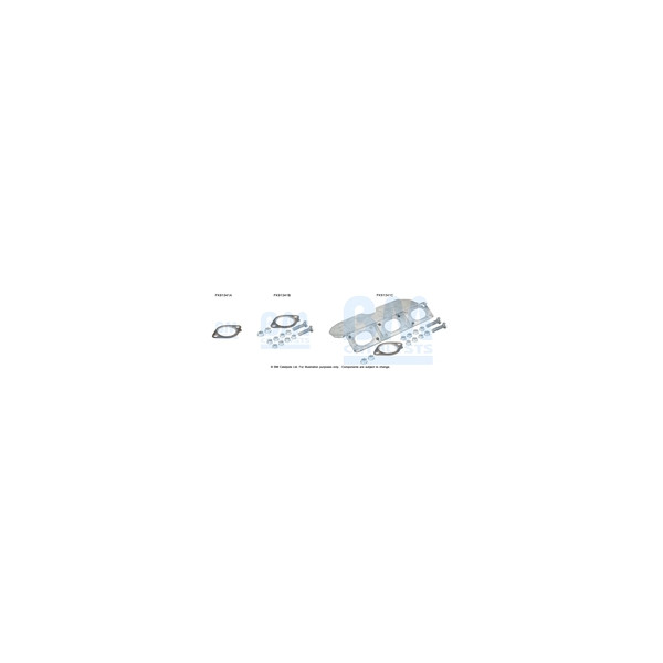 BM Catalysts FK91341 - Fitting Kit-Catalyst