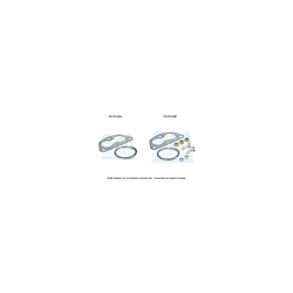 BM Catalysts FK70129 - Fitting Kit-Exhaust (Front)