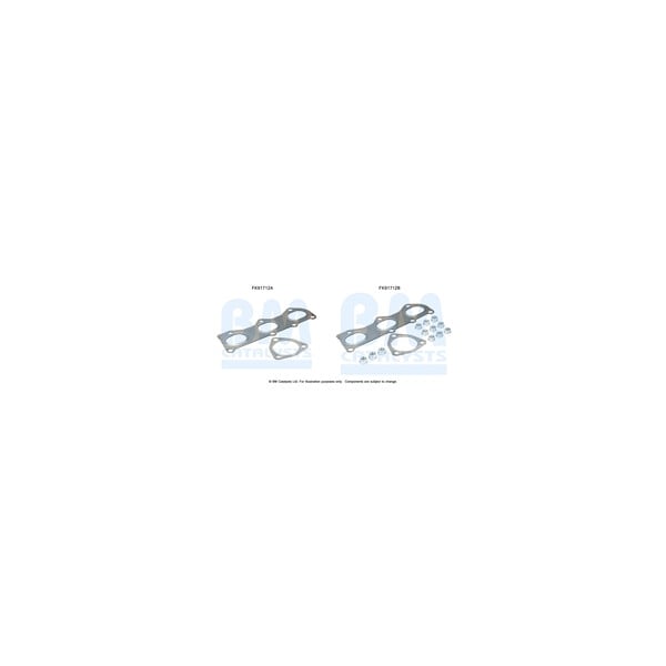 BM Catalysts FK91712 - Fitting Kit-Catalyst (Front)