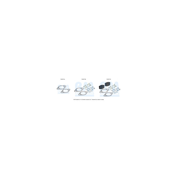 BM Catalysts FK90774 - Fitting Kit-Catalyst (Rear)