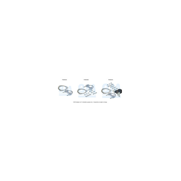 BM Catalysts FK80025 - Fitting Kit-Catalyst