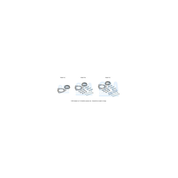 BM Catalysts FK90171 - Fitting Kit-Catalyst