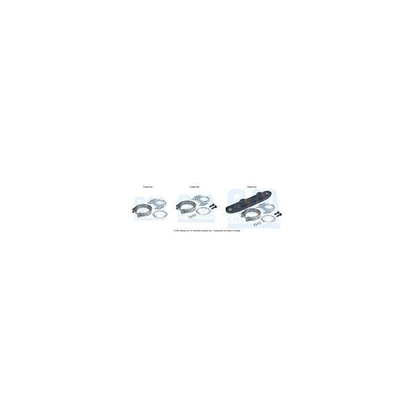 BM Catalysts FK80470 - Fitting Kit-Catalyst