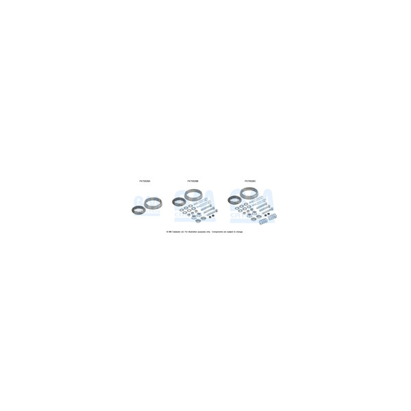 BM Catalysts FK70528 - Fitting Kit-Exhaust