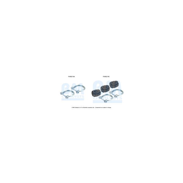 BM Catalysts FK80219 - Fitting Kit-Catalyst
