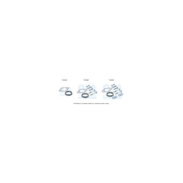 BM Catalysts FK90696 - Fitting Kit-Catalyst (Rear)