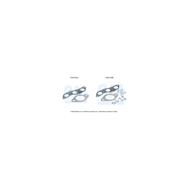 BM Catalysts FK91753 - Fitting Kit-Catalyst