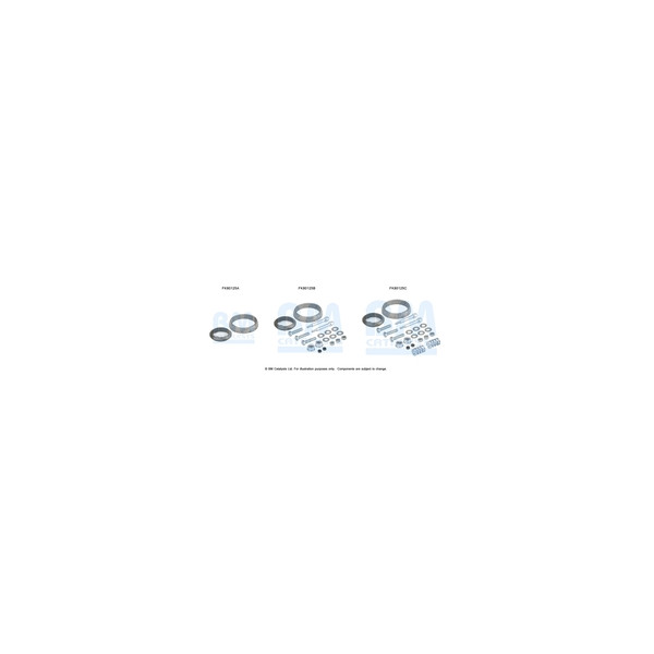 BM Catalysts FK80125 - Fitting Kit-Catalyst