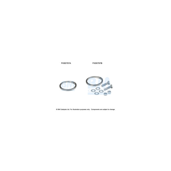 BM Catalysts FK90797 - Fitting Kit-Catalyst
