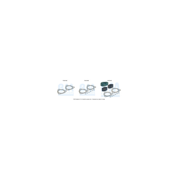 BM Catalysts FK50748 - Fitting Kit-Exhaust