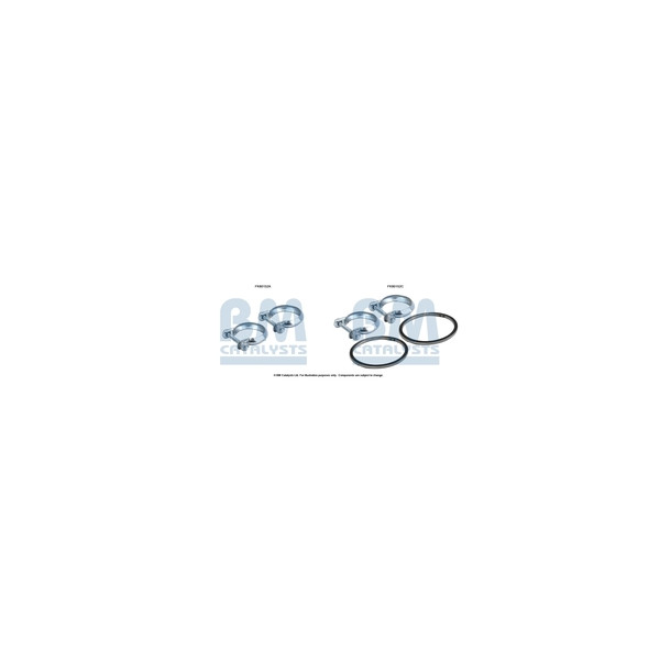 BM Catalysts FK80152 - Fitting Kit-Catalyst