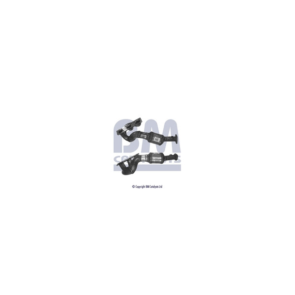 BM Catalysts BM91341H - Catalyst