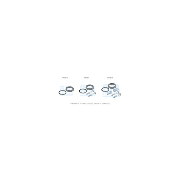 BM Catalysts FK91256 - Fitting Kit-Catalyst (Front)