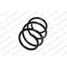 Neox SP6899 - Coil Spring (Front)