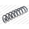 Neox SP7662 - Coil Spring (Rear)