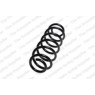 Neox SH6246 - Coil Spring (Rear)