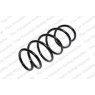Neox SP6889 - Coil Spring (Front)