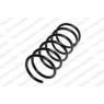 Neox SP8203 - Coil Spring (Front)