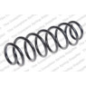 Neox SP6804 - Coil Spring (Rear)
