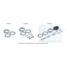 BM Catalysts FK91053 - Fitting Kit-Catalyst (Rear)