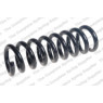 Neox ST1652 - Coil Spring (Rear)