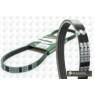 BGA Group 4PK665 - Drive Belt