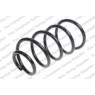 Neox SP8240 - Coil Spring (Front)