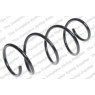 Neox SH6052 - Coil Spring (Front)