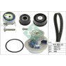 INA 530007831 - Timing Belt-Water Pump Kit
