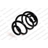Neox SP8484 - Coil Spring (Rear)