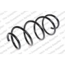 Neox SP6623 - Coil Spring (Front)