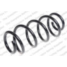 Neox SP7123 - Coil Spring (Front)