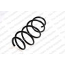 Neox SH6238 - Coil Spring (Front)