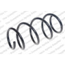 Neox SP7224 - Coil Spring (Front)