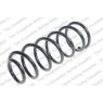 Neox SP8050 - Coil Spring (Rear)