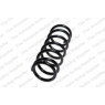 Neox SP8080 - Coil Spring (Rear)