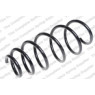 Neox SP7012 - Coil Spring (Front)