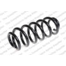 Neox SP7548 - Coil Spring (Front)