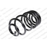 Neox SX6060 - Coil Spring (Rear)