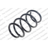 Neox SP8333 - Coil Spring (Front)