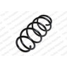 Neox SH6233 - Coil Spring (Front)