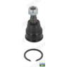 Moog HO-BJ-10556 - Ball Joint (Front Left Hand+Right Hand)