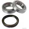 Herth+Buss Jakoparts J4705005 - Wheel Bearing Kit (Front Left Hand+Right Hand)